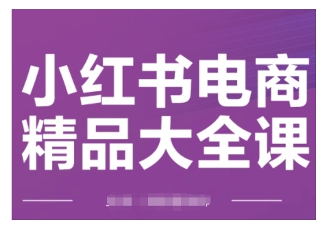 小红书电商精品大全课，快速掌握小红书运营技巧，实现精准引流与爆单目标，轻松玩转小红书电商(更新2月)-小艾网创