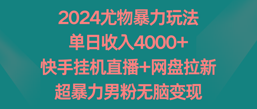 2024尤物暴力玩法 单日收入4000+快手挂机直播+网盘拉新 超暴力男粉无脑变现-小艾网创