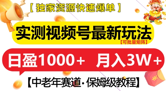 实测视频号最新玩法，中老年赛道，独家资源，月入过W+【揭秘】-小艾网创
