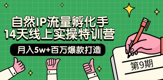 (9881期)自然IP流量孵化手 14天线上实操特训营【第9期】月入5w+百万爆款打造 (74节)-小艾网创