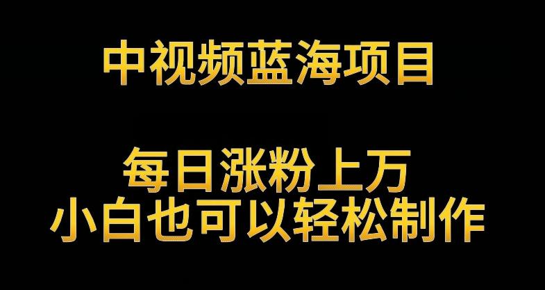 中视频蓝海项目，解读英雄人物生平，每日涨粉上万，小白也可以轻松制作，月入过万不是梦【揭秘】-小艾网创