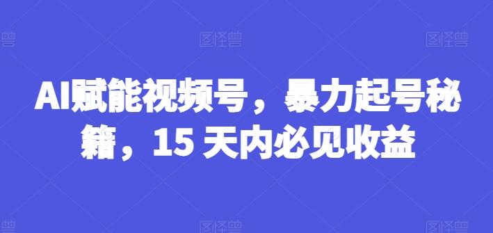 AI赋能视频号，暴力起号秘籍，15 天内必见收益【揭秘】-小艾网创