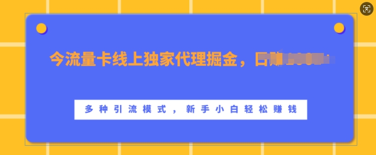 流量卡线上独家代理掘金，日入1k+ ，多种引流模式，新手小白轻松上手【揭秘】-小艾网创