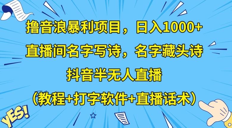 撸音浪暴利项目，日入1000+，直播间名字写诗，名字藏头诗，抖音半无人直播（教程+打字软件+直播话术）【揭秘】-小艾网创