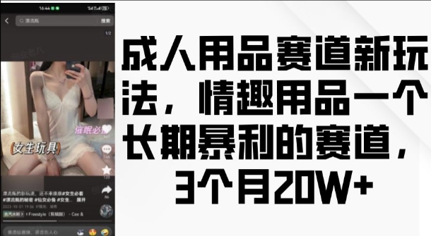 成人用品赛道新玩法，情趣用品一个长期暴利的赛道，3个月收益20个【揭秘】-小艾网创