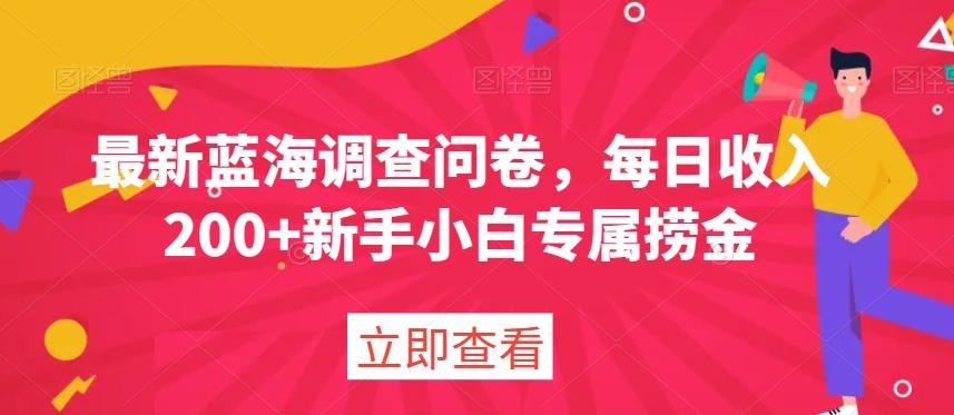 最新蓝海调查问卷，每日收入200+新手小白专属捞金-小艾网创