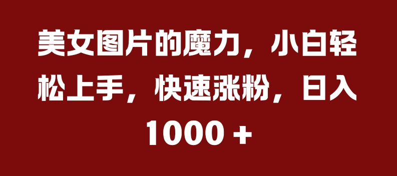 美女图片的魔力，小白轻松上手，快速涨粉，日入几张【揭秘】-小艾网创