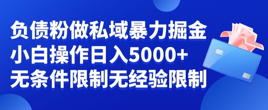 负债粉私域暴力掘金，小白操作入5000，无经验限制，无条件限制【揭秘】-小艾网创