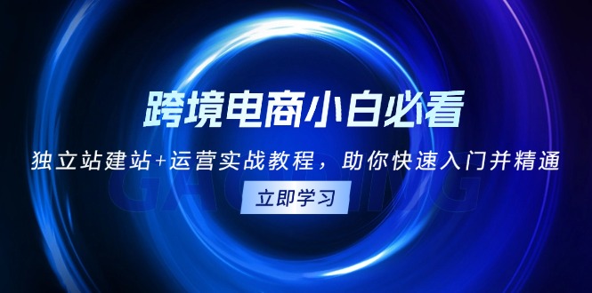 跨境电商小白必看！独立站建站+运营实战教程，助你快速入门并精通-小艾网创