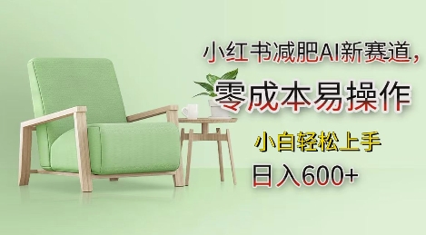 小红书减肥AI新赛道，零成本易操作，日入多张，小白轻松上手【揭秘】-小艾网创
