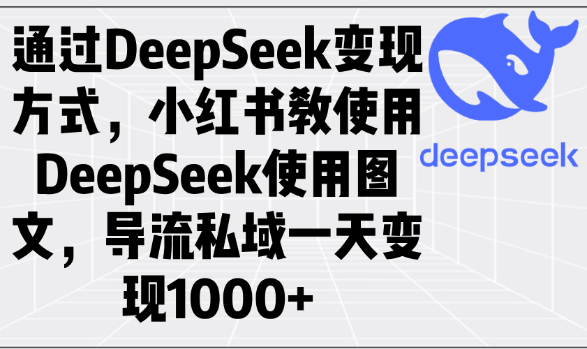 通过DeepSeek变现方式，小红书教使用DeepSeek图文，导流私域一天变现1000+-小艾网创