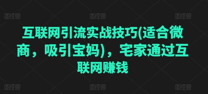 互联网引流实战技巧(适合微商，吸引宝妈)，宅家通过互联网赚钱-小艾网创