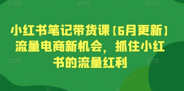 小红书笔记带货课【6月更新】流量电商新机会，抓住小红书的流量红利-小艾网创