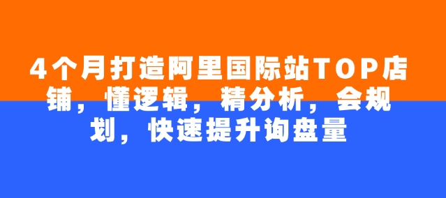 4个月打造阿里国际站TOP店铺，懂逻辑，精分析，会规划，快速提升询盘量-小艾网创