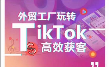 外贸工厂玩转TikTok高效获客，多种引流方式与账号定位技巧，拆解爆款短视频打造成功案例-小艾网创