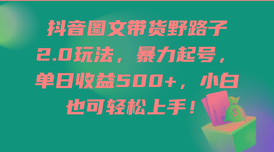 (9790期)抖音图文带货野路子2.0玩法，暴力起号，单日收益500+，小白也可轻松上手！-小艾网创