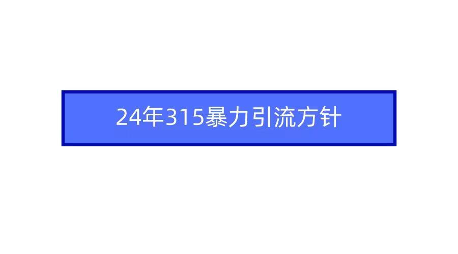 (9398期)2024年315暴力引流方针-小艾网创