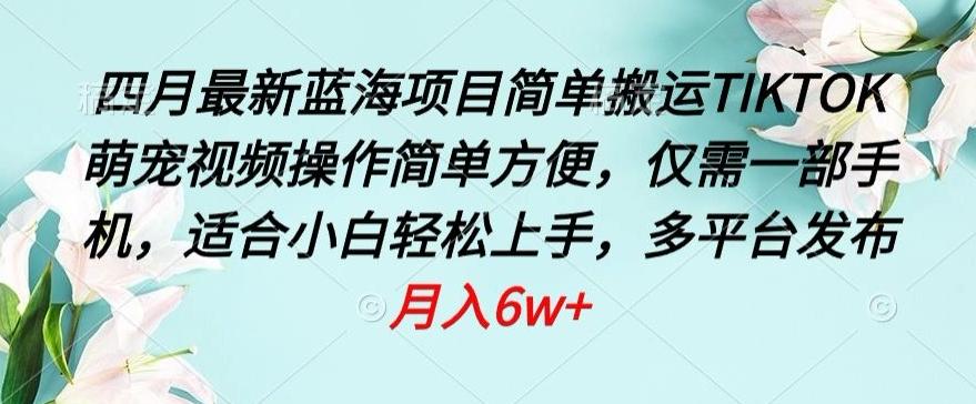 四月最新蓝海项目，简单搬运TIKTOK萌宠视频，操作简单方便，仅需一部手机【揭秘】-小艾网创