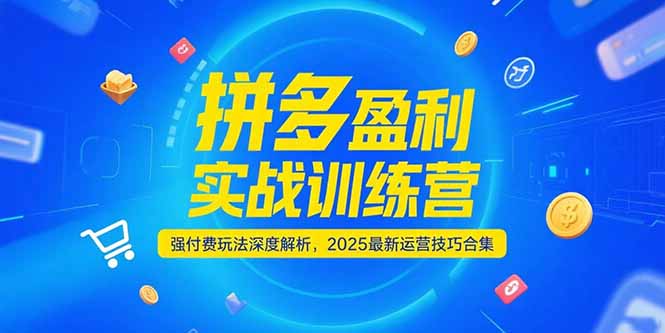 拼多多盈利实战训练营，强付费玩法深度解析，2025运营技巧合集-更新6月-小艾网创