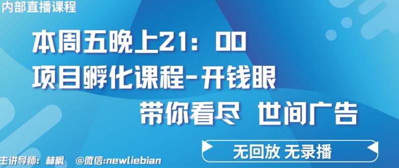 4.26日内部回放课程《项目孵化-开钱眼》赚钱的底层逻辑【揭秘】-小艾网创