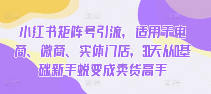 小红书矩阵号引流，适用于电商、微商、实体门店，30天从0基础新手蜕变成卖货高手-小艾网创