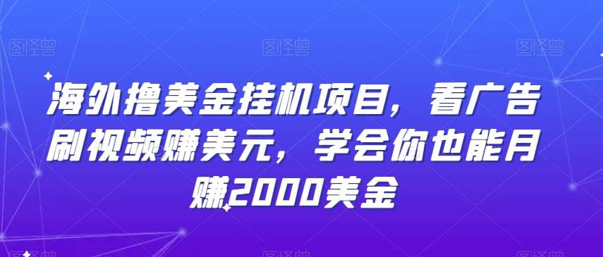 海外撸美金挂机项目，看广告刷视频赚美元，学会你也能月赚2000美金-小艾网创