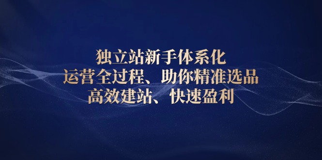 独立站新手体系化 运营全过程，助你精准选品、高效建站、快速盈利-小艾网创