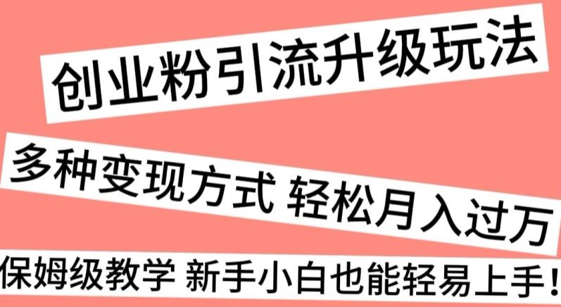 创业粉引流升级玩法，多种变现方式轻松月入过万，保姆级教学新手小白也能轻易上手！-小艾网创