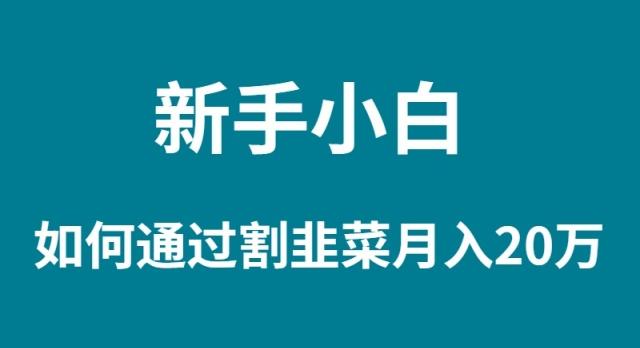 (9308期)新手小白如何通过割韭菜月入 20W-小艾网创
