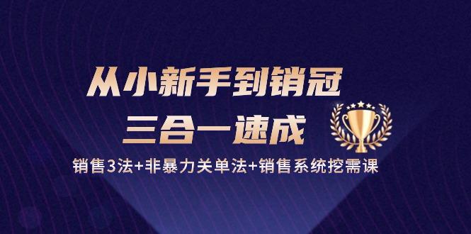 从小新手到销冠 三合一速成：销售3法+非暴力关单法+销售系统挖需课 (27节-小艾网创