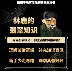 林鹿的翡翠知识，​用宝石眼光，系统全面的看懂翡翠-小艾网创