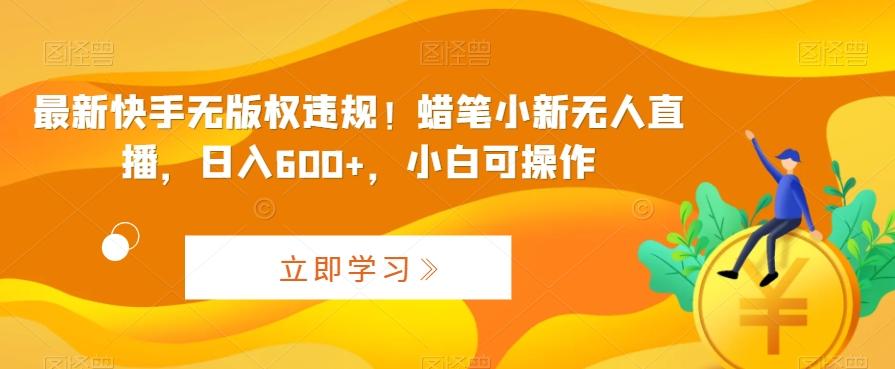 最新快手无版权违规！蜡笔小新无人直播，日入600+，小白可操作【揭秘】-小艾网创