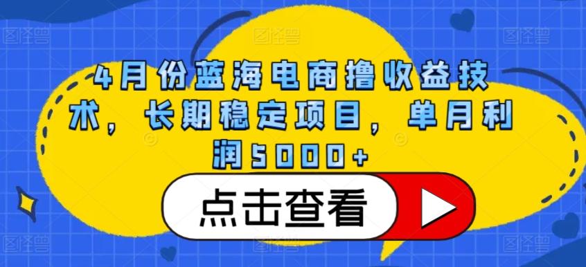 4月份蓝海电商撸收益技术，长期稳定项目，单月利润5000+【揭秘】-小艾网创