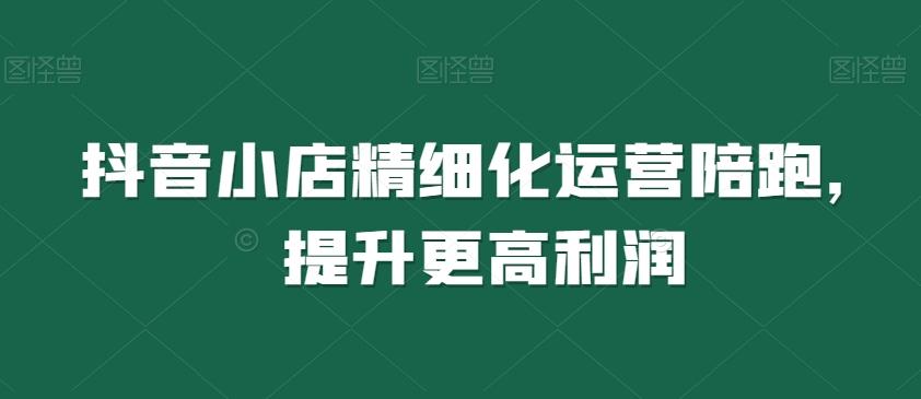 抖音小店精细化运营陪跑，提升更高利润-小艾网创