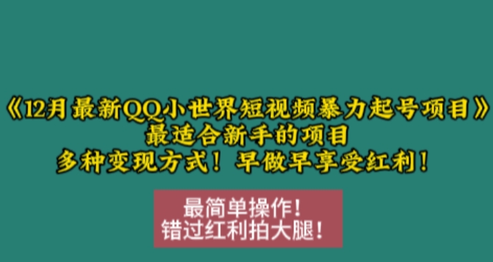 12月最新QQ小世界短视频暴力起号项目，最适合新手的项目，多种变现方式-小艾网创