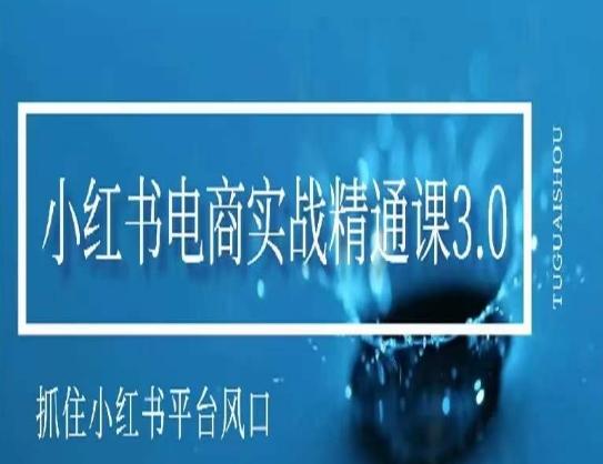 小红书电商实战精通课3.0，抓住小红书平台的风口，不错过有一个赚钱的机会-小艾网创