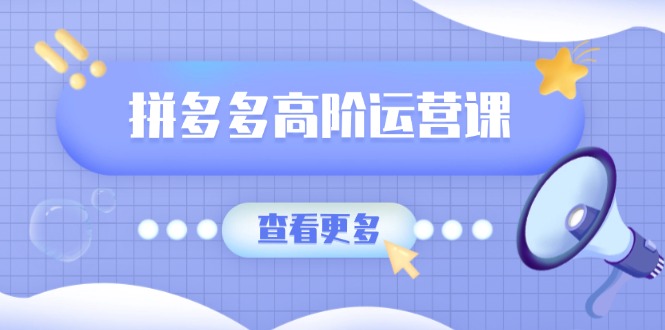 拼多多高阶运营课：极致群爆款玩法，轻付费无尽复制，打造单品爆款之路-小艾网创