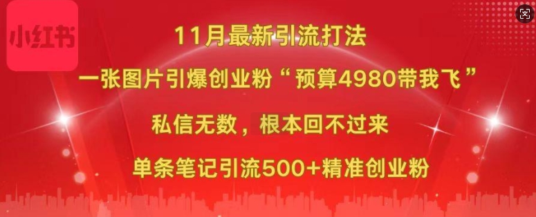 小红书11月最新图片打粉，一张图片引爆创业粉，“预算4980带我飞”，单条引流500+精准创业粉-小艾网创