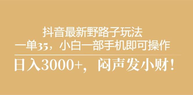 抖音最新野路子玩法，一单35，小白一部手机即可操作，，日入3000+，闷…-小艾网创