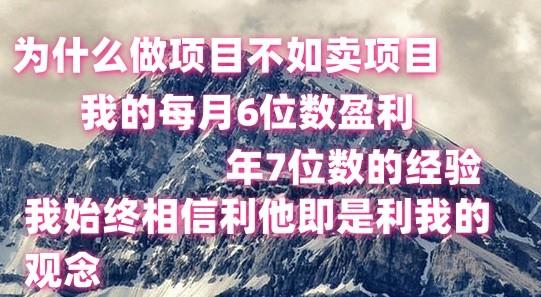 做项目不如卖项目，每月6位数盈利，年7位数经验-小艾网创