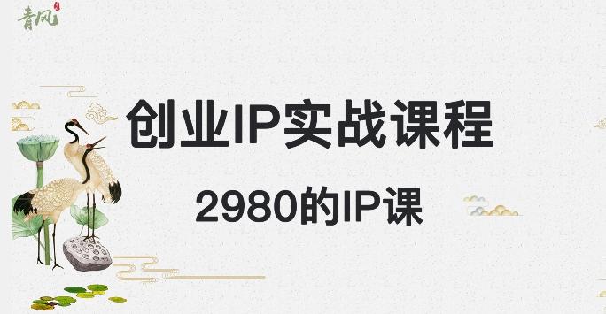 外边卖2980的创业IP课程，做私域月入5w+-小艾网创