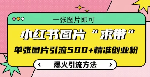 小红书图片‘求带’爆火引流法，单张图片引流500+精准创业粉【揭秘】-小艾网创