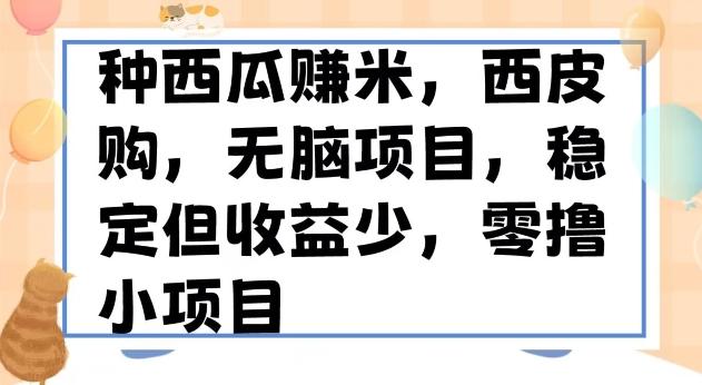 种西瓜赚米，西皮购稳定长久零撸小项目-小艾网创
