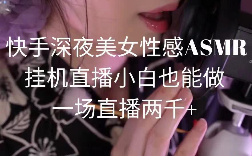 快手深夜美女性感ASMR挂机直播，小白也能做，一场直播两千+-小艾网创