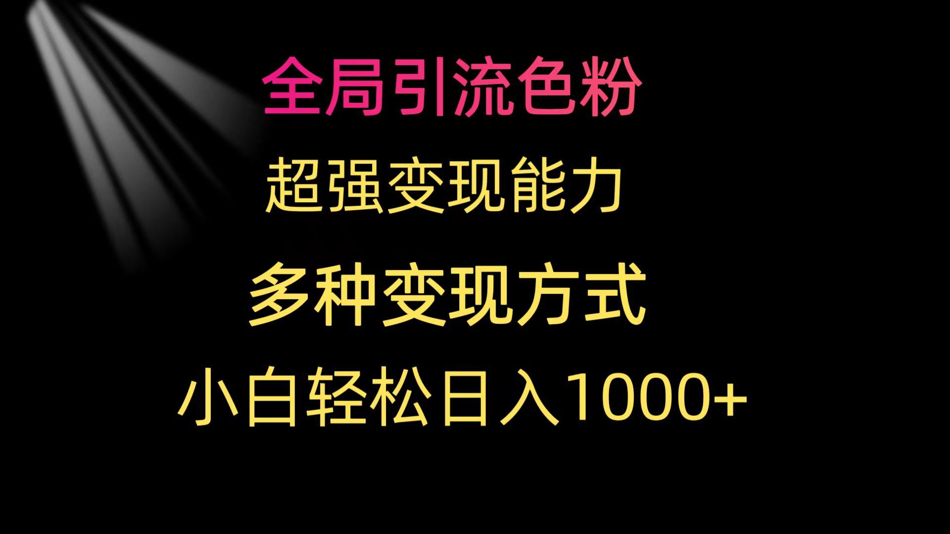 (9680期)全局引流色粉 超强变现能力 多种变现方式 小白轻松日入1000+-小艾网创