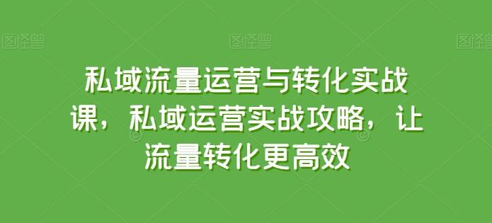 私域流量运营与转化实战课，私域运营实战攻略，让流量转化更高效-小艾网创