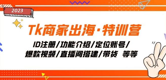 Tk商家出海·特训营：ID注册/功能介绍/定位账号/爆款视频/直播间搭建/带货-小艾网创