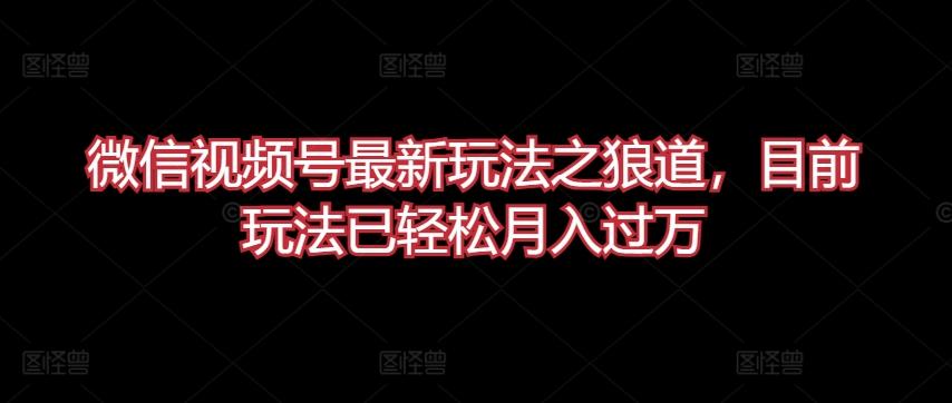 微信视频号最新玩法之狼道，目前玩法已轻松月入过万【揭秘】-小艾网创