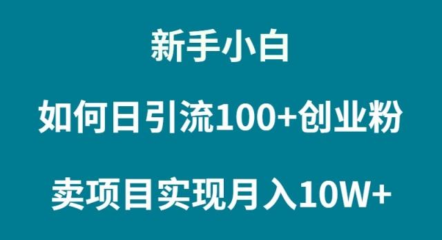 (9556期)新手小白如何通过卖项目实现月入10W+-小艾网创