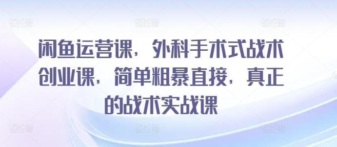 闲鱼运营课，外科手术式战术创业课，简单粗暴直接，真正的战术实战课-小艾网创